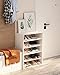HAIOOU 5 Tier White Shoe Rack, 24 Inches Stackable Wooden Shoe Shelf Organizer Free Standing Shoe Storage Stand with One Movable Storage Shelf for 10-15 Pairs, Perfect for Entryway, Hallway, Closet