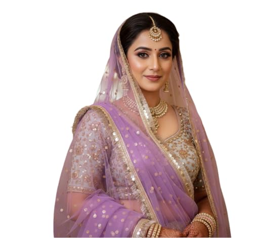 Image of Navti Creations Women's Lightweight Net Dupatta With Sequence Embroidery & Kiran Border (Length 2.25m)