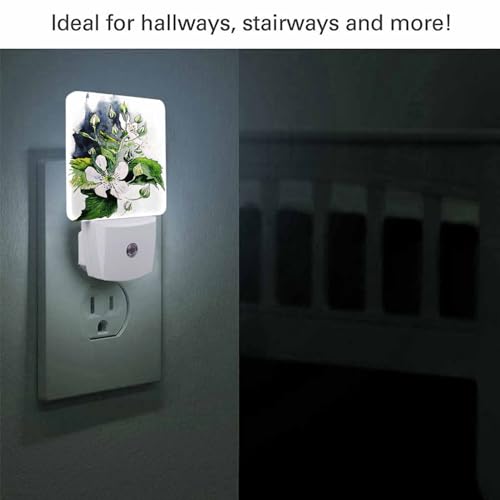 Image of LED Night Light,Flower BlackBerry Watercolor Painted Blossom LED Night Light Plug into Wall with Dusk to Dawn Light Sensor White Energy Efficient Nightlight for Bedroom Hallway Kitchen