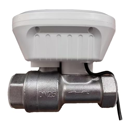 Luobannm Válvula de Agua Inteligente Tuya con WiFi, Medidor de Agua, Caudal, Consumo, Visualización de Temperatura, Temporizador, Control de Vida Inteligente, Enchufe Europeo.