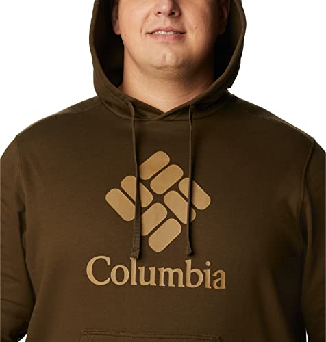 Image of Columbia mens Trek Hoodie
