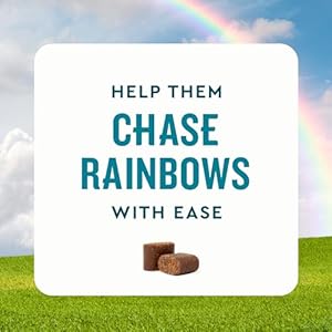 Vetiqglucosaminehipjointsupplementfordogs180softchewsdogjointsupportsupplementwithmsmandkrilldoghealthsupplieslargesmallbreedchickenflavoredchewables Urban Country Home Decor Vetiq glucosamine hip joint supplement for dogs 180 soft chews dog joint support supplement with msm and krill dog health supplies large small breed chicken flavored chewables urban country home decor