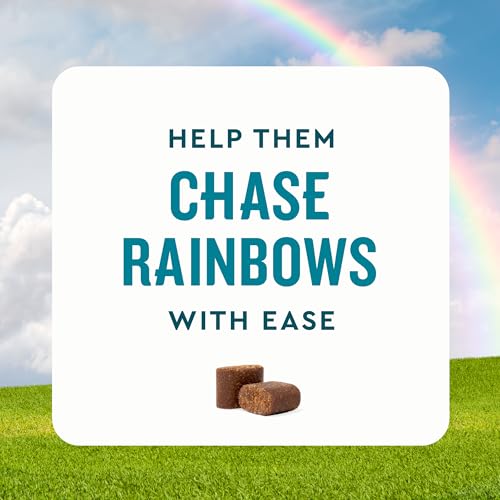 Vetiqglucosaminehipjointsupplementfordogs180softchewsdogjointsupportsupplementwithmsmandkrilldoghealthsupplieslargesmallbreedchickenflavoredchewables Urban Country Home Decor Vetiq glucosamine hip joint supplement for dogs 180 soft chews dog joint support supplement with msm and krill dog health supplies large small breed chicken flavored chewables urban country home decor