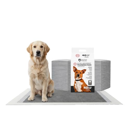Image of FPN Charcoal Puppy Pads for Dogs 40 Count 24x24 Inch | Disposable Pee Pads for Dogs & Puppies | Dog Training Pads, Large Pet Training Pads for Potty Training & Indoor Use