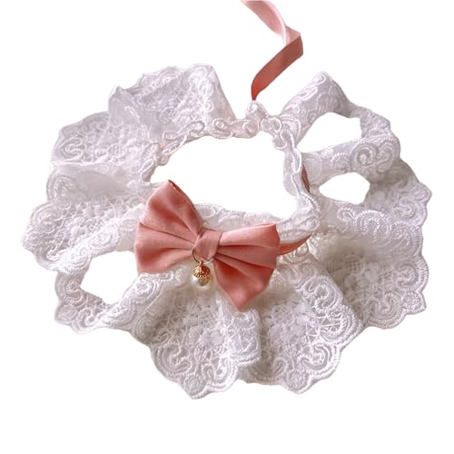 [GIIPET]L̎  p[ƃ[X̒lN^C lR  悾ꂩ    ߉\ y ybgp Xgbv 킢 Pn t@bV qL̎/q̎/̎/E^ybg ybgWG[