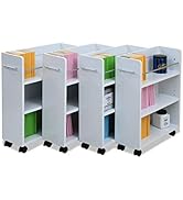 Amazon.co.jp: JKプラン クローゼット 本棚 押入れ収納 4個組 約 奥行