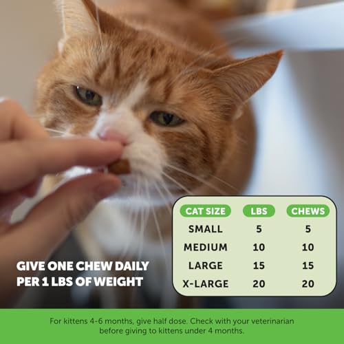 Cat Urinary Tract Health Crunchy & Creamy Chews - Promotes Healthy Digestion & Normal Bladder Function with Cranberry, Antioxidants, & Probiotics - Gut + Bladder Support Supplement (30 Day Supply) - Thumbnail 4