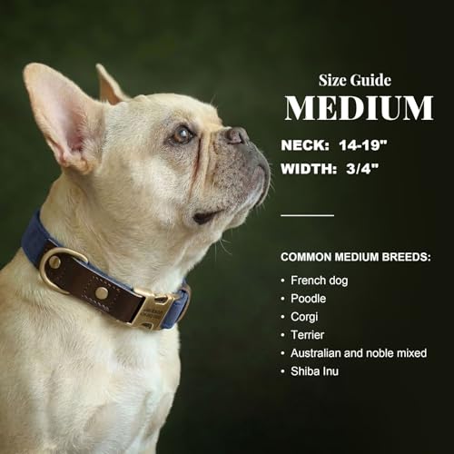 Image of Personalized PU Leather Dog Collars, Quick Release Buckle, Blue,M