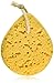 Ri Sea Foam Sponge Size 1ct