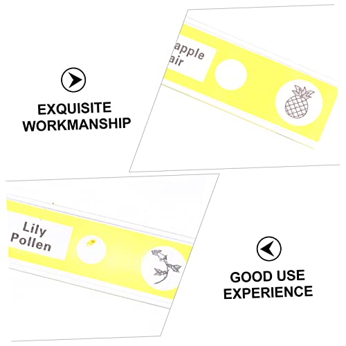 CHILDWEET 12pcs Glass Slide Microscope Slides Abs Specimens Sample Biological Specimen Child Plant Suite 6 41TmPSEl HL