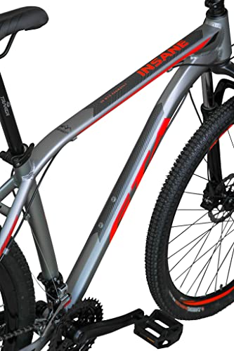 Bicicleta Aro 29 Gta Insane 27v Freio Hidráulico K7 Garfo com Trava (19, Cinza/Vermelho)