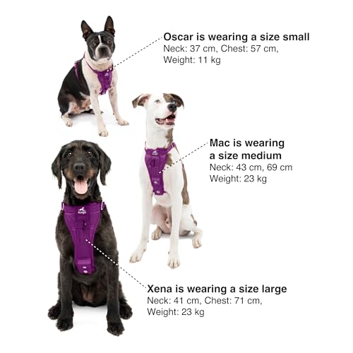 Enhanced Strenght Tru-Fit Smart Harness, Purple, Small - 6