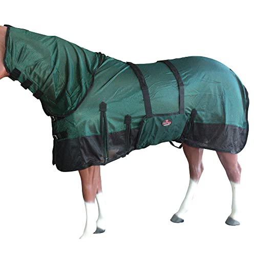 Image of HILASON Horse Fly Sheet UV Protect Breathable Mesh Bug Mosquito Spring | Summer Horse Rug | Fly Rug