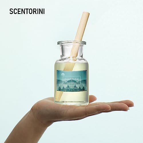 SCENTORINI Diffusore per Ambiente 150ml, Diffusore Profumo Ambiente Bastoncini, con 1 Diffusore Ambiente Bastoncini, per Stanza, Bagno, Ufficio, Armadio (Pioggia di Luna)