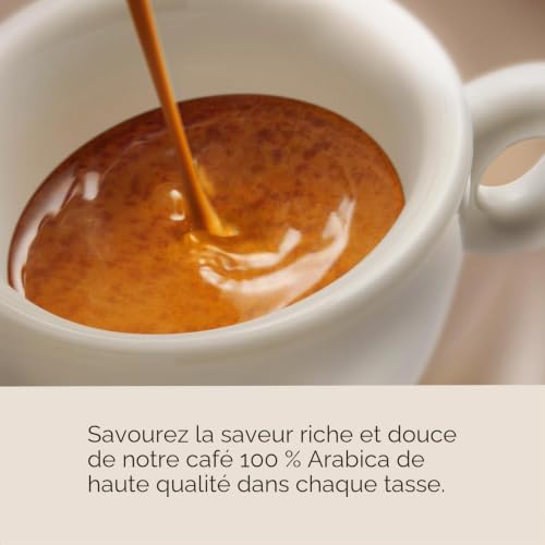 Dosette ESE illy Espresso Torréfaction 12 boites 216 dosettes emballées individuellement - vue 8