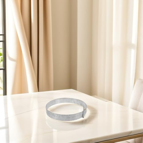 Anillo de hierro comercial para máquina de algodón de azúcar resistente 5
