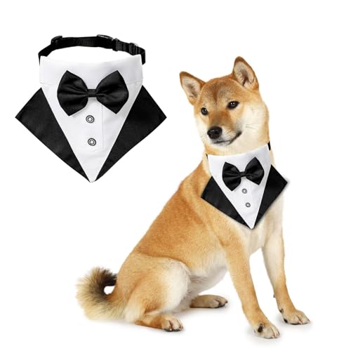 pփ^LV[hAlN^CtEFfBOhbOJ[A߉\ȃybgJ[ADOtao_iAtH[}̈ߑAo^CnEBRXv^()