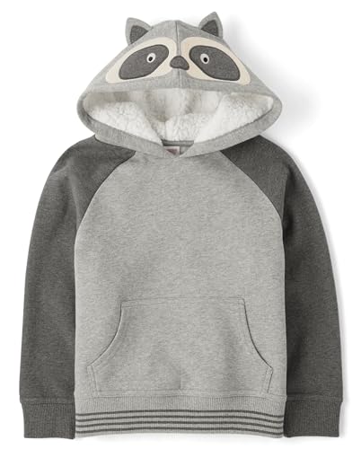 Image of Gymboree Boys' And Toddler Boys Long Sleeve Hoodie Sweatshirt