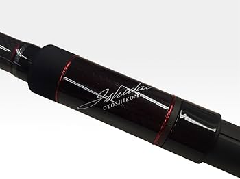 Amazon | 黒鯛工房(Kurodaikoubou) 石鯛師 THE石鯛 落し込み BB4 400