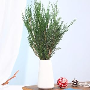 Preserved Real Pine Leaves Branches 17 Natural Pine Needles Green Plants 35OZ Greenery Pine Twigs Stems Evergreen Pine Picks for Christmas Garland Wreath Home Wedding Decor Floral Arrangements