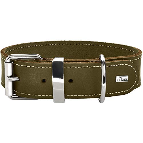 Hunter Hundehalsband Aalborg Special, Farbe: olivgrün, stark gefettetes Leder, robust & strapazierfähig, kontrastierende Ziernähte, ideal für Hundesport, Made in Germany, Größe: 80