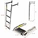 Garelick Boat Transom Telescoping Ladder 19620-13 | 4-Step SS