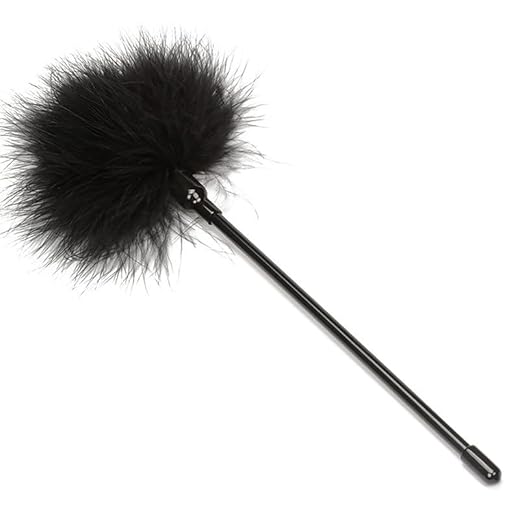 Palo de Pluma Multifuncional, Palo de Pluma Negra, Puntos de Baile Ligeros y Elegantes, Herramientas prácticas Ligeras y cómodas, Herramientas de Masaje, Regalos Ideales para Parejas
