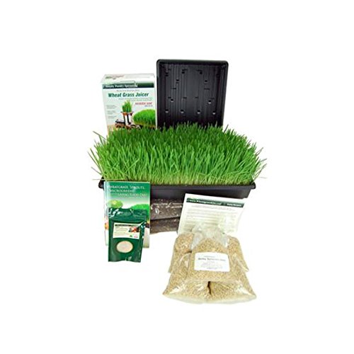 Organic Barley Grass Growing Kit W/ Hurricane Barleygrass Juicer- Grow & Juice Barleygrass In Your Own Kitchen For Pennies A Day #TOP26