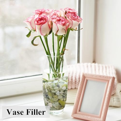 image for FANTIAN 5 lbs Jade Gravel Small Pebbles for Indoor Plants, Decorative 