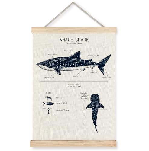 Yomisex Shark Gifts for Ocean Lovers Wall Art Poster, Beach House Room Decor, Coastal Nautical Sea Animal Shark Wall Art Framed for Home Bedroom Living Room Decor, 12x16 Inch