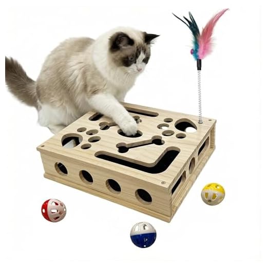 Cat Scratch Puzzle Enrichment Box, Cat Nail File Enrichment Box Sandpaper, Interactive Cats Treat Toy Stress Free, Scratchers that Trim Nails