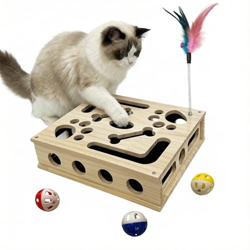 Cat Scratch Puzzle Enrichment Box