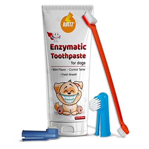 Boltz Enzymatic Toothpaste Mint Flavor for Dogs 100gm with 3 Toothbrush, Controls Tarter