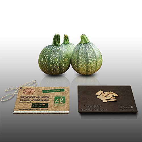 15 graines Bio à semer - Le Grenier d'Abondance - COURGETTE Ronde de Nice - Certifié AB - Cucurbita pepo