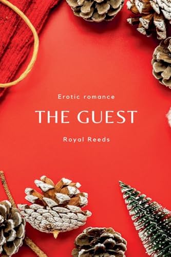 The Guest: Erotic Romance