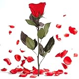 ROSEMARIE SCHULZ Heidelberg