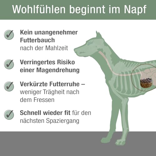 PLATINUM - Hundenahrung Adult Beef aus Fleischsaftgarung - 5kg Hundefutter trocken nährstoffreich wie Barf - besonders schmackhaftes Hundetrockenfutter für kleine und große Hunde - in DE geprüft
