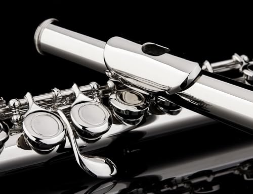 Image of Glory Closed Hole C Flute With Case, Tuning Rod,Joint Grease and Cloth, Gloves, Nickel Siver
