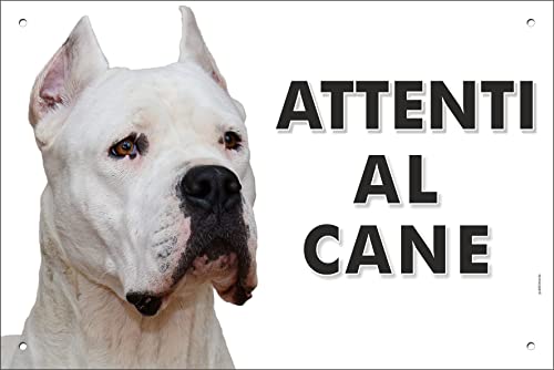 Pubblimania DOGO ARGENTINO Cartello Attenti al Cane in metallo Alluminio, spessore 3mm (Cm 20x30)