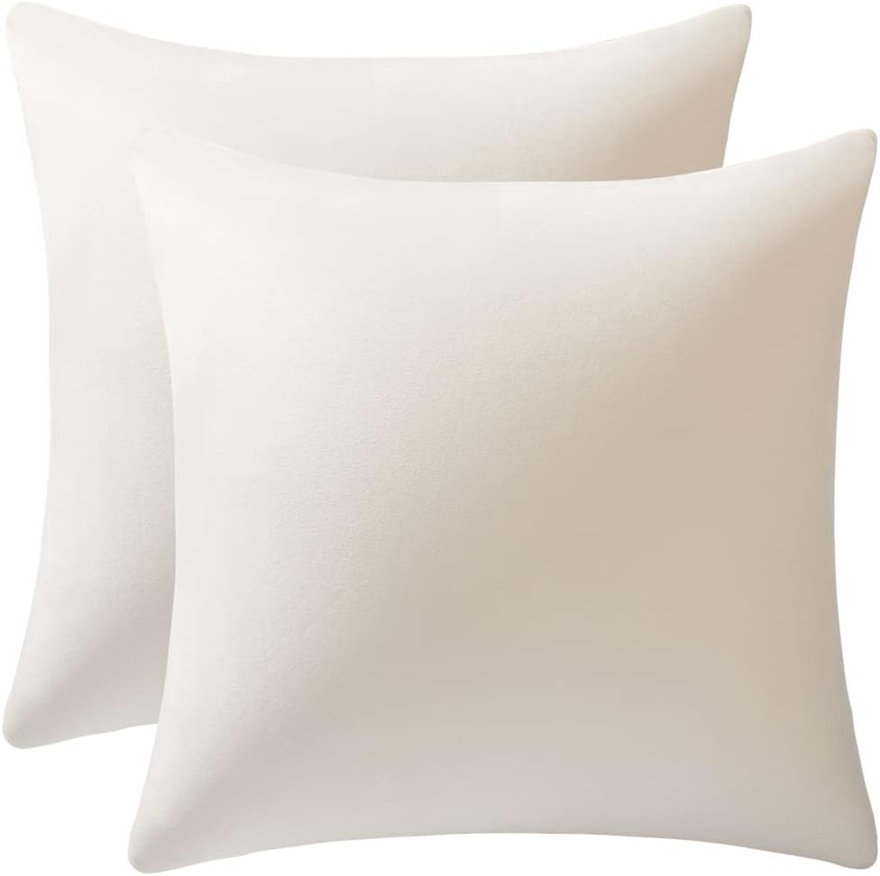 Fundas de almohada 2 piezas acogedoras fundas de almohada decorativas de terciopelo suave para decoración del hogar - Imagen 237 de 271