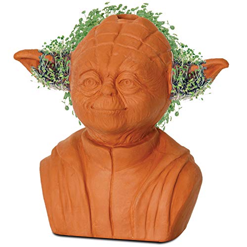 Chia Pet Star Wars Yoda with Seed Pack, Decorative Pottery Planter, Easy to Do and Fun to Grow, Novelty Gift, Perfect for Any Occasion - Image 3