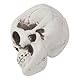 SimpleLife Kunststoff Menschlichen Mini Schädel Dekor Prop Skeleton Kopf Halloween Kaffeebars Ornament