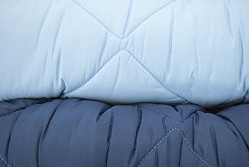 BIANCALUNA Piumone Trapunta Tintaunita 2 Colori Doubleface Morbida Microfibra - Blu, Singolo