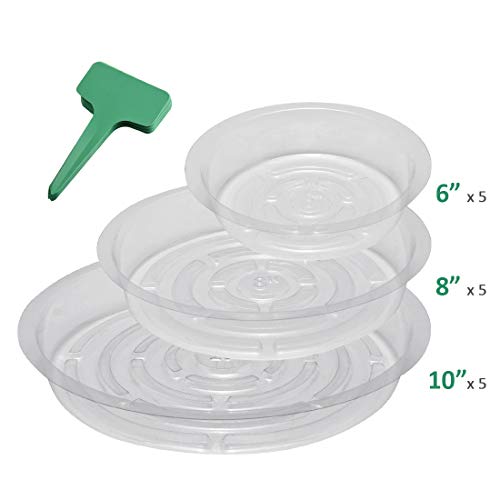 GROWNEER 15-Pack Clear Plant Saucer Drip Trays, with 15 Pcs Plant Labels, Plastic