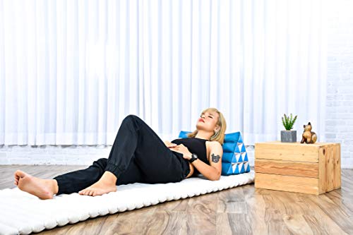 Image of Leewadee Thai Triangle Cushion - Comfortable Backrest for TV or Reading, Wedge Pillow - Eco-Friendly Natural Kapok Filling, 20 x 13 x 13 inches, Light Blue