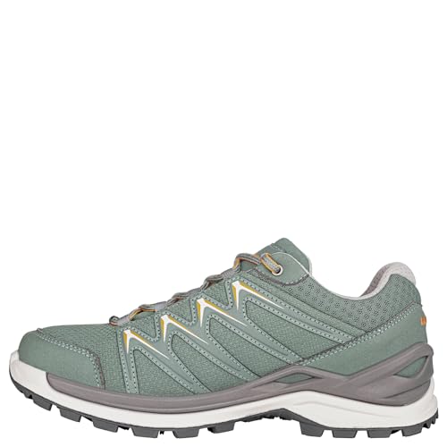 Lowa Adult Innox PRO GTX LO WS grau4