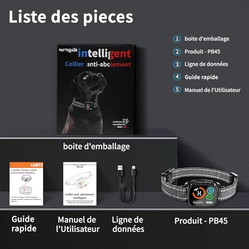 Training Tips for Bark Collar Success