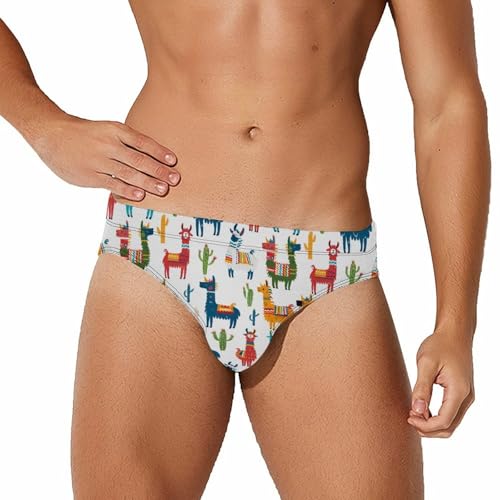 Llama Cactus Novelty Men's Brief Swimwear Pants Swimming Trunks Beach Shorts Underwear