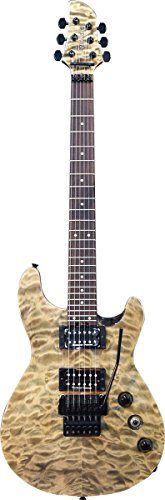 超レア美品　フェルナンデス　APG-95 日本製　輸出用モデル 超レア美品 フェルナンデス APG-95 日本製 輸出用モデル 超レア美品