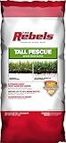 Pennington Rebel Tall Fescue Mixture Powder Coated Seed, 7 lb.